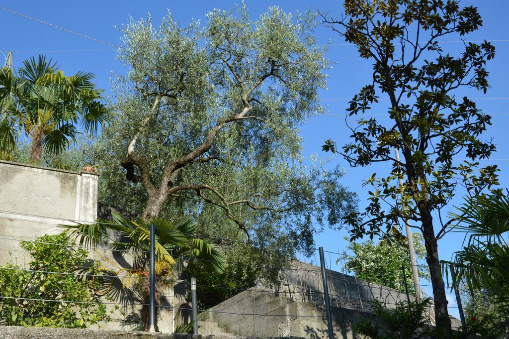 Arco Climbing Villa Екстериор снимка