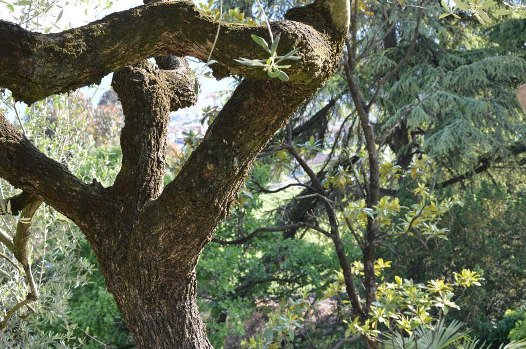 Arco Climbing Villa Екстериор снимка